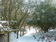 16th Feb 2012 - Snowy walk