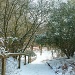 Snowy walk by karendalling