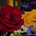 Valentine Flowers by stownsend