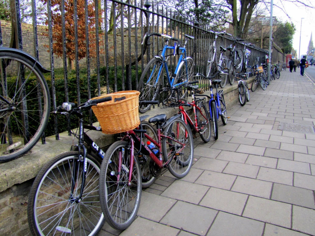 Two-tier bike racks by busylady