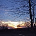 Evening walk sunset by kdrinkie