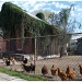 Chicken House by eudora