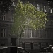 tree on a side street of Budapest by grecican