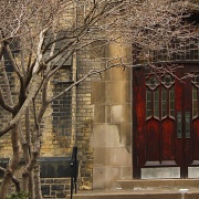 17th Feb 2012 - Tree and Church Door