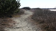 18th Feb 2012 - The Beaten Path
