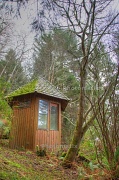18th Feb 2012 - Sleeping House in the Woods