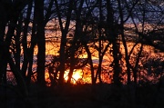 18th Feb 2012 - Sunset at Cedar Gardens
