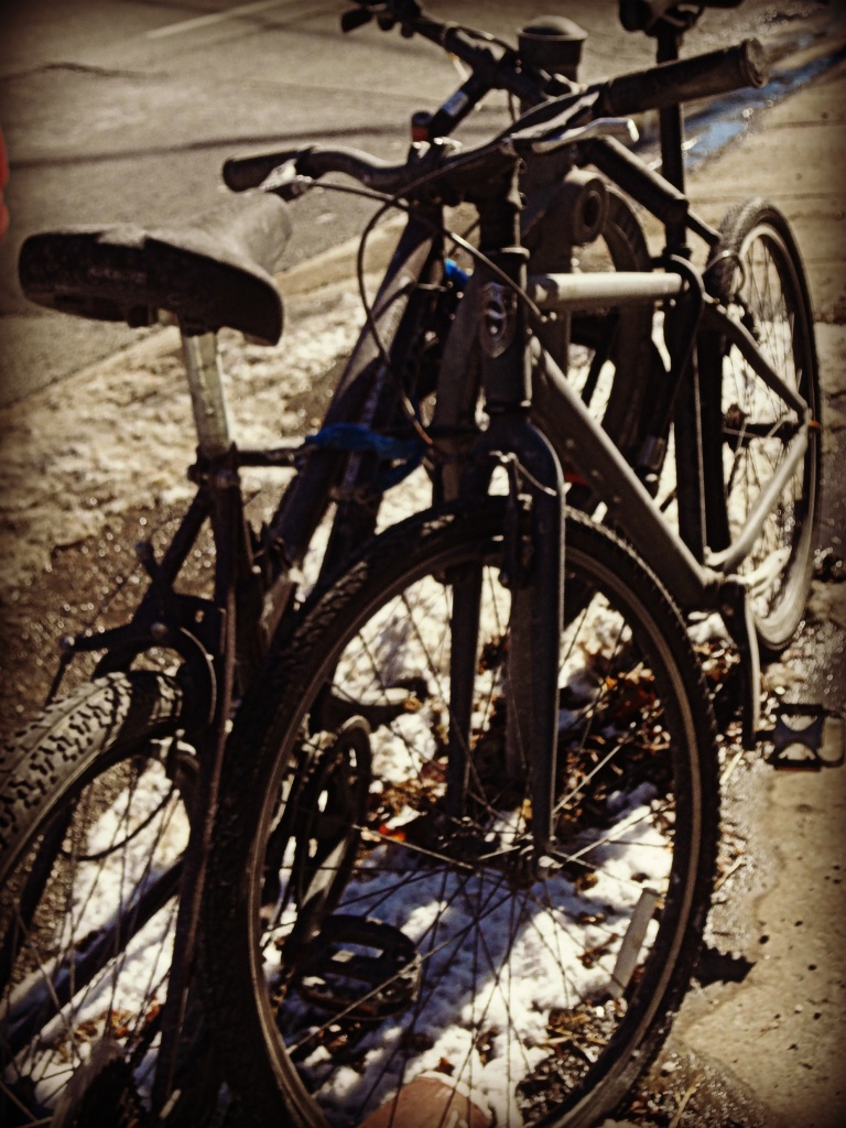 Toronto bicycles by edie