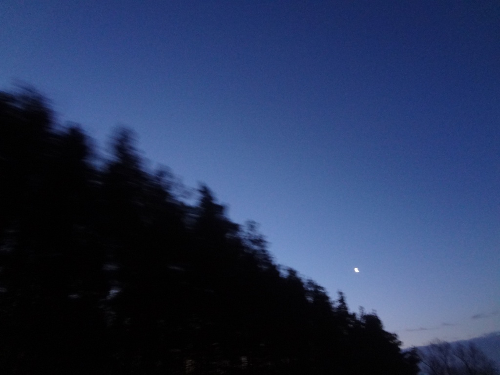 Morning moon by edie