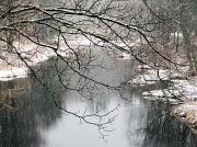 18th Feb 2012 - The creek.