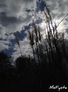 18th Feb 2012 - Moody Sky