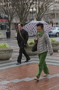 18th Feb 2012 - A Color Coordinated Cold Rainy Day In Seattle.