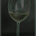 Wine Glass by salza