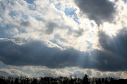 19th Feb 2012 - Winter rays