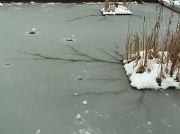 17th Feb 2012 - Cracks in the ice
