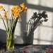 Shadows of Former Glory by daffodill