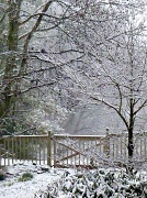 19th Feb 2012 - Snowy Garden Gate