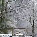 Snowy Garden Gate by calm