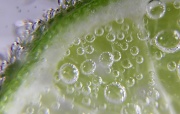 19th Feb 2012 - Lime with Bubbles