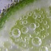 Lime with Bubbles by northy