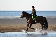 19th Feb 2012 - Riding the Beach