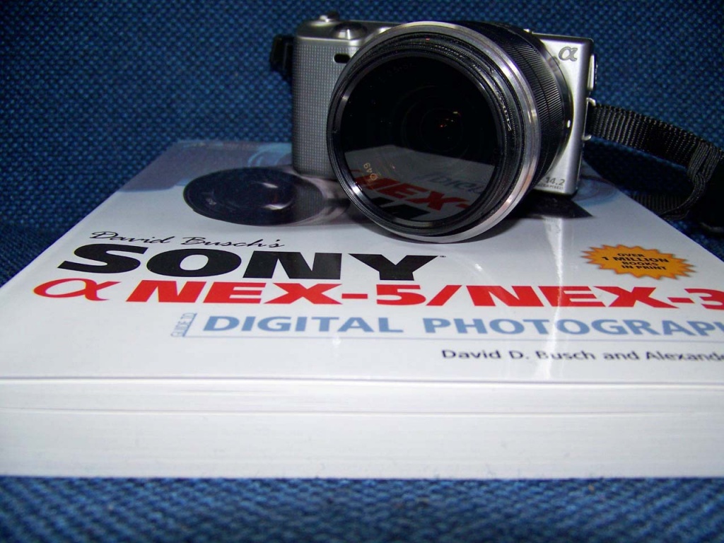 Camera, book and 365 Project    by dmdfday