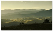 18th Feb 2012 - Molongolo Valley