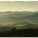 Molongolo Valley by ltodd