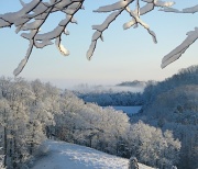20th Feb 2012 - Winter Wonderland