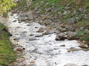 20th Feb 2012 - Gentle Creek