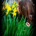 Smelling the Daffodils by melinareyes