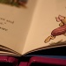 This little piglet by abhijit