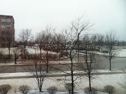 21st Feb 2012 - Snowy Chicago