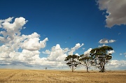 24th Jan 2012 - Wide Open Spaces