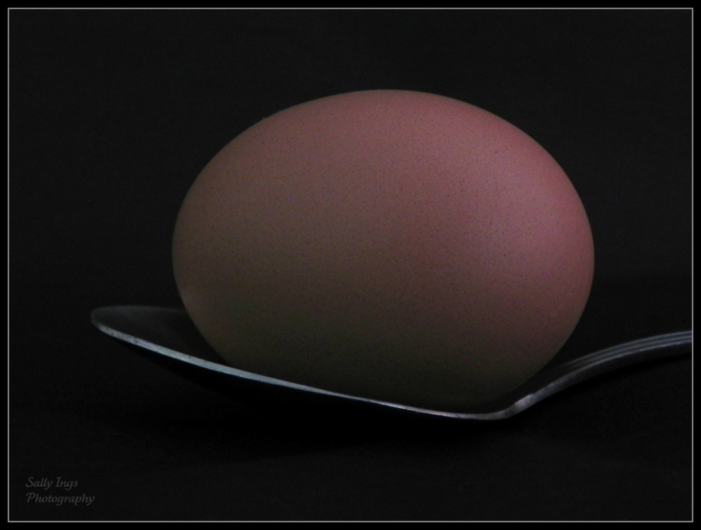 Egg on a Spoon by salza