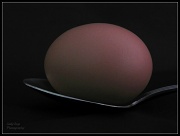 21st Feb 2012 - Egg on a Spoon