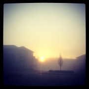 18th Feb 2012 - 0217 fog