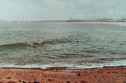 22nd Feb 2012 - Surfing the 'gong