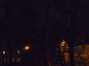 21st Feb 2012 - Glowing lights