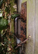 22nd Feb 2012 - Potting shed door.