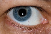 22nd Feb 2012 - Old Blue Eyes