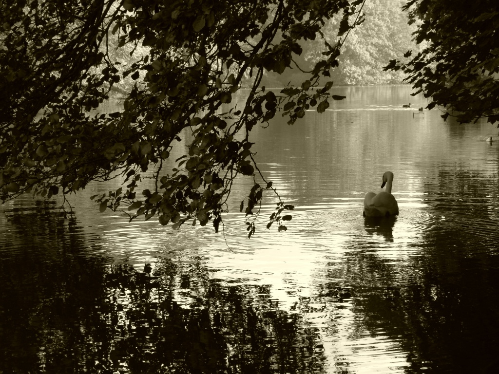 tranquility (16/10/11) by jantan