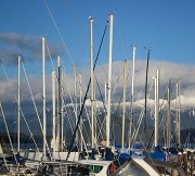 22nd Feb 2012 - Amid The Masts
