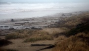 22nd Feb 2012 - Quiet Beach 