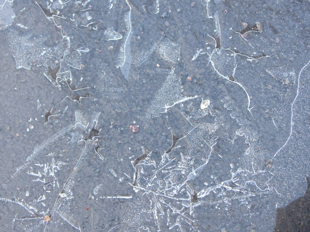 Frost art IMG_2025 by annelis