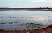 4th Feb 2012 - Mill Dam Lake Florida