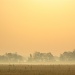 Early Morning Fog by photogypsy
