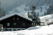 20th Feb 2012 - Gstaad #2