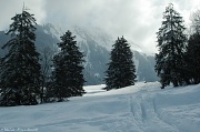 20th Feb 2012 - Gstaad #1