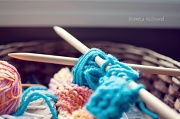 23rd Feb 2012 - knitting....